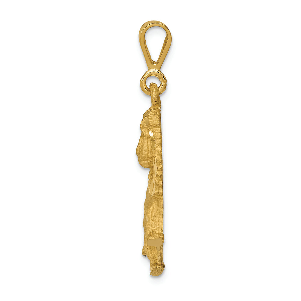 FJC Finejewelers 14k Yellow Gold Lion Charm