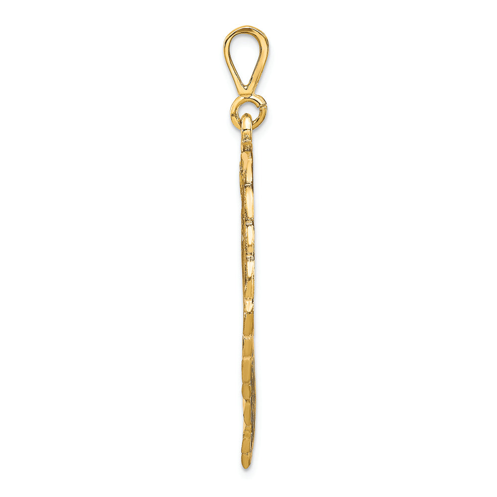 FJC Finejewelers 14k Yellow Gold Filigree Lions Head Charm