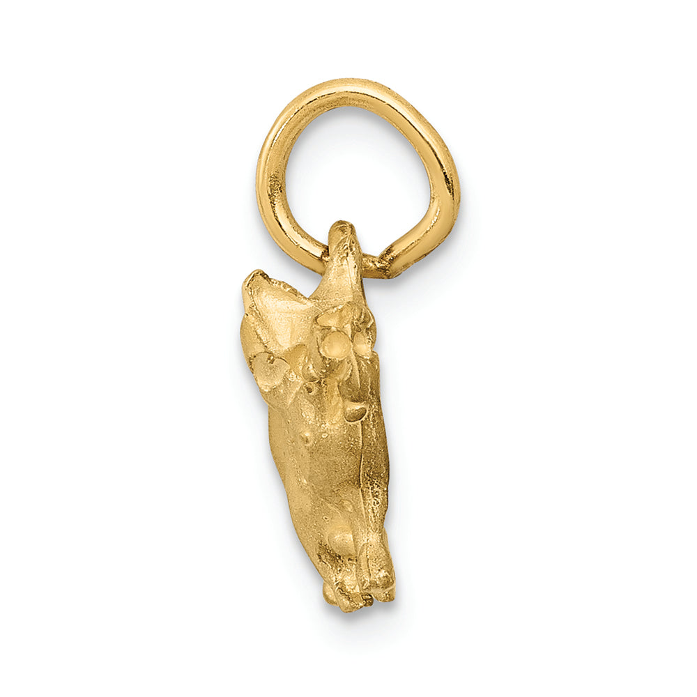 FJC Finejewelers 14k Yellow Gold Pig Charm