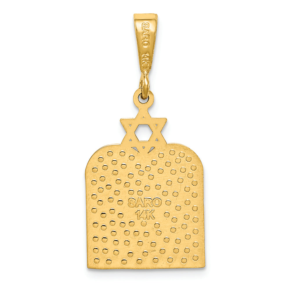 FJC Finejewelers 14k Yellow Gold Polished Ten Commandment Tablets with Star Of David Charm