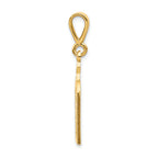 FJC Finejewelers 14k Yellow Gold Polished Ten Commandment Tablets with Star Of David Charm