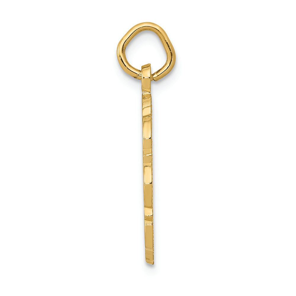 FJC Finejewelers 14k Yellow Gold Registered Nurse Disc Charm