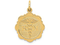 FJC Finejewelers 14k Yellow Gold Registered Nurse Disc Charm