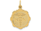 FJC Finejewelers 14k Yellow Gold Registered Nurse Disc Charm