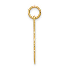 FJC Finejewelers 14k Yellow Gold Registered Nurse Disc Charm