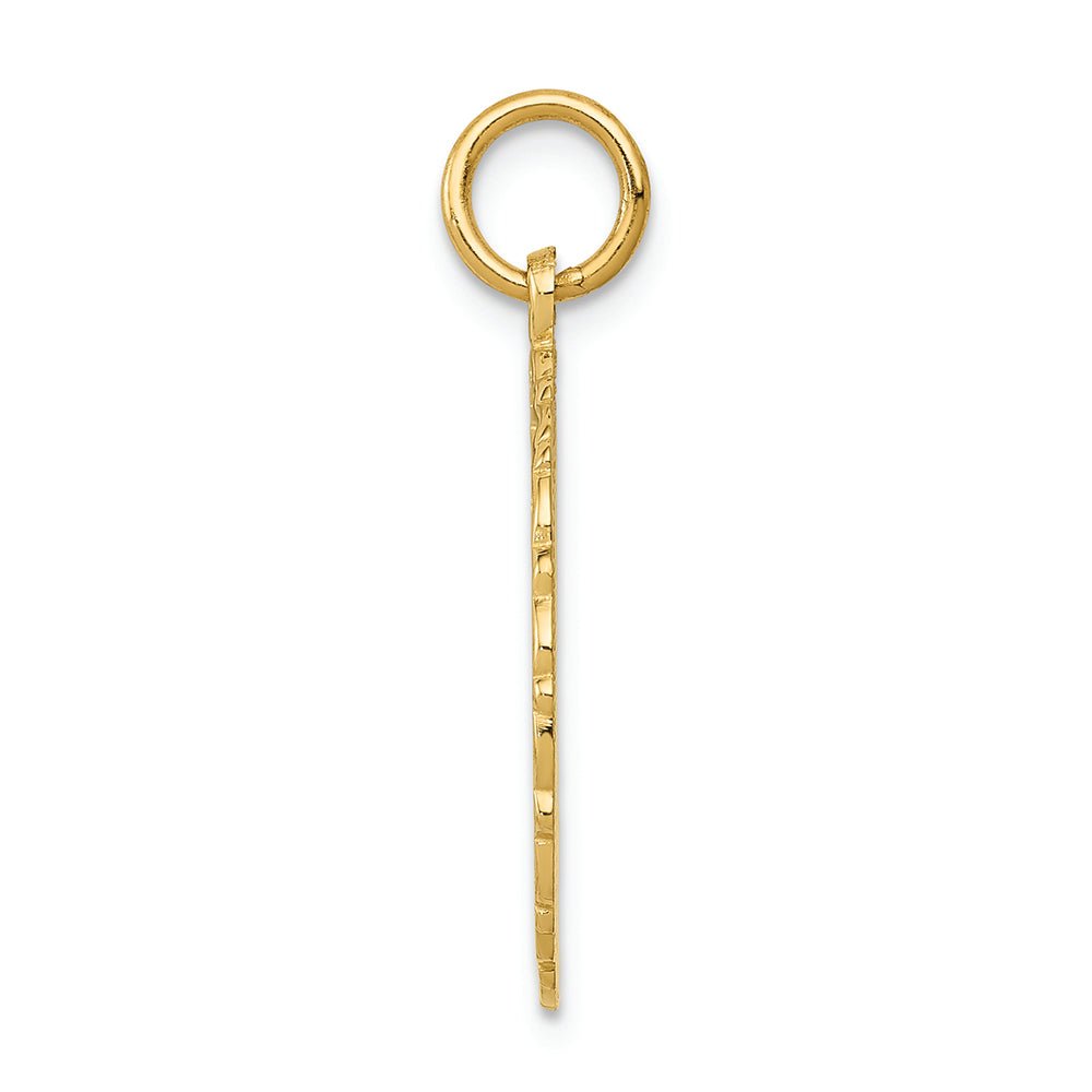 FJC Finejewelers 14k Yellow Gold Registered Nurse Disc Charm