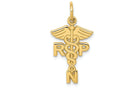 FJC Finejewelers 14k Yellow Gold Registered Nurse Practitioner Charm