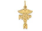 FJC Finejewelers 14k Yellow Gold Registered Nurse Practitioner Charm