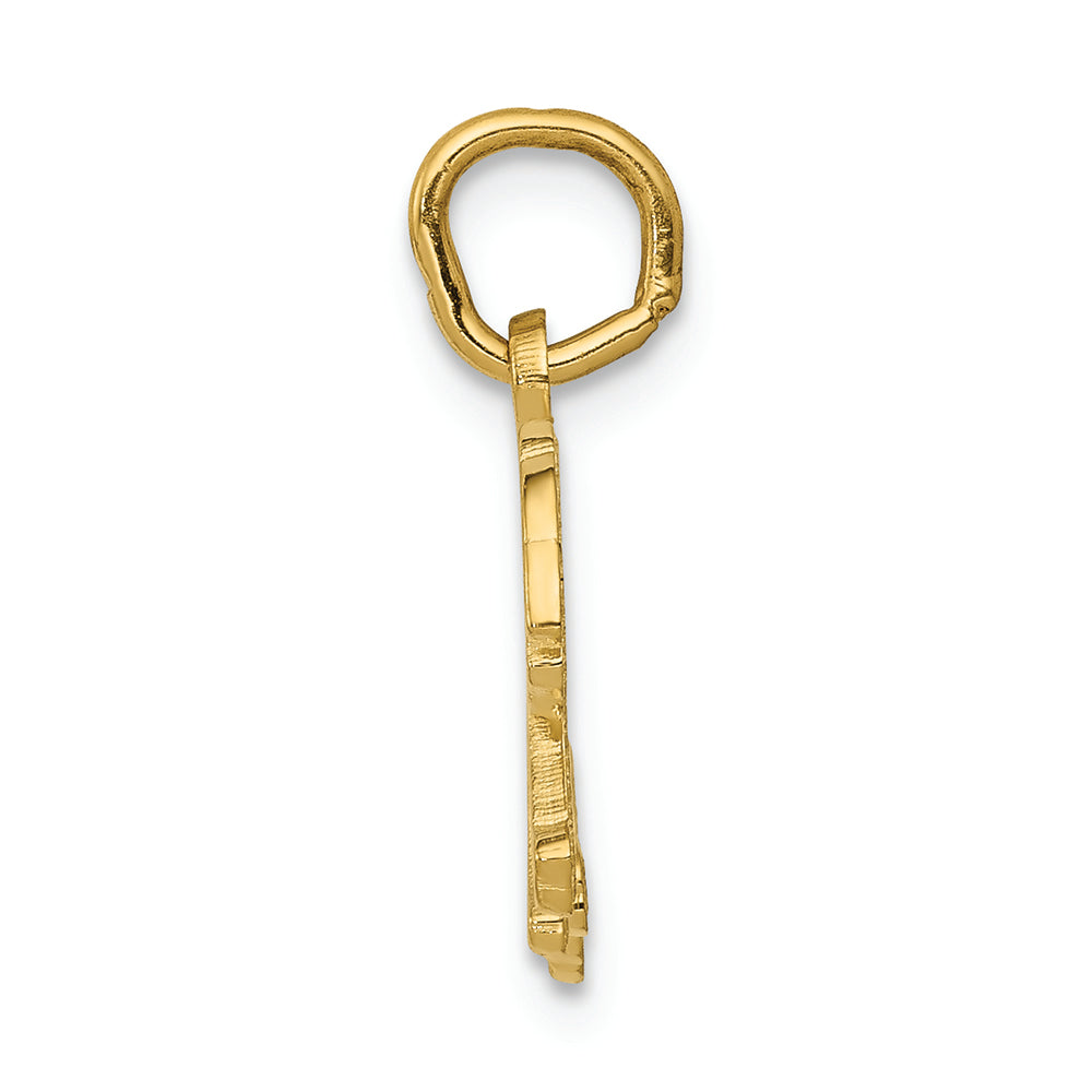 FJC Finejewelers 14k Yellow Gold Tiger Charm