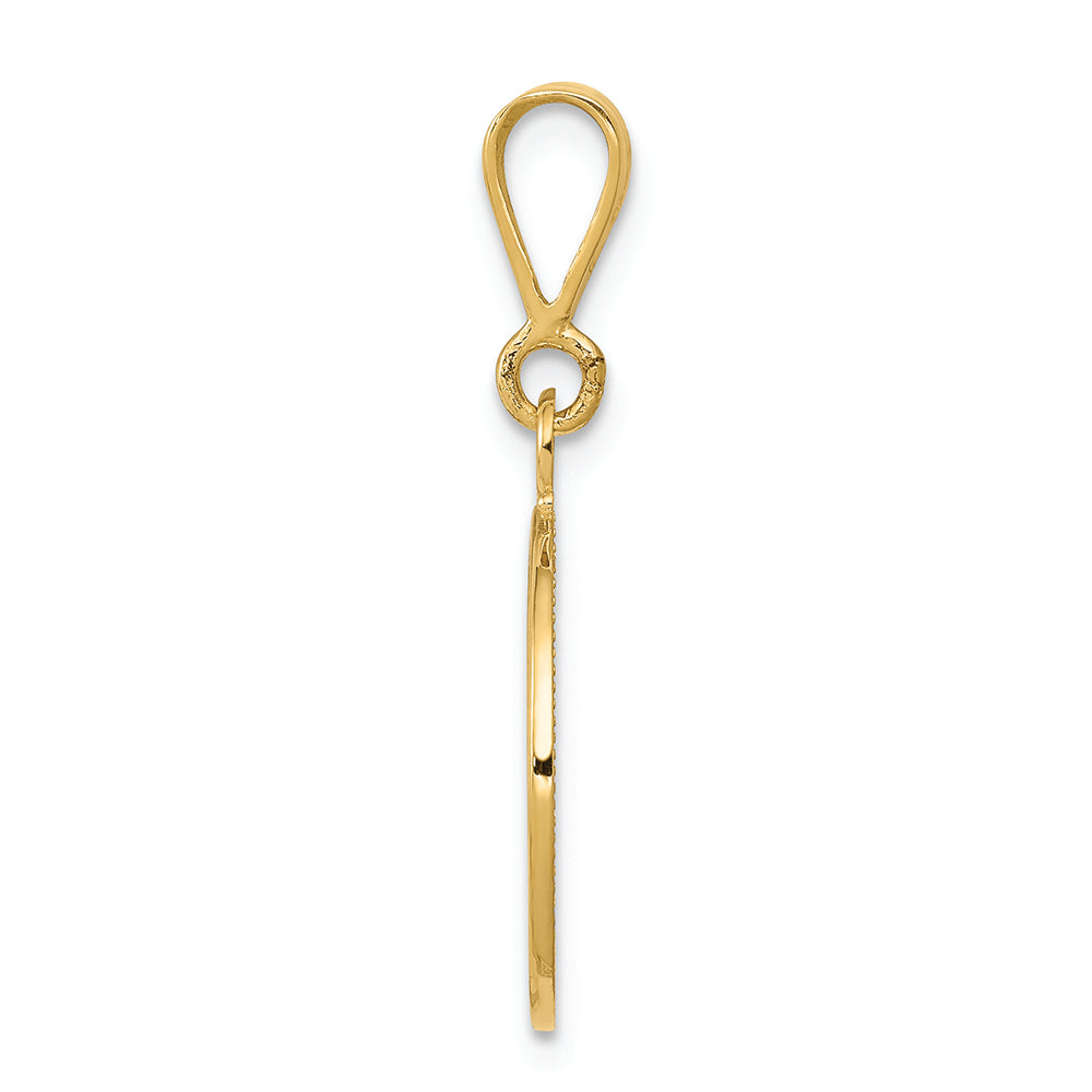 FJC Finejewelers 14k Yellow Gold Polished Satin Raphael Angel Charm