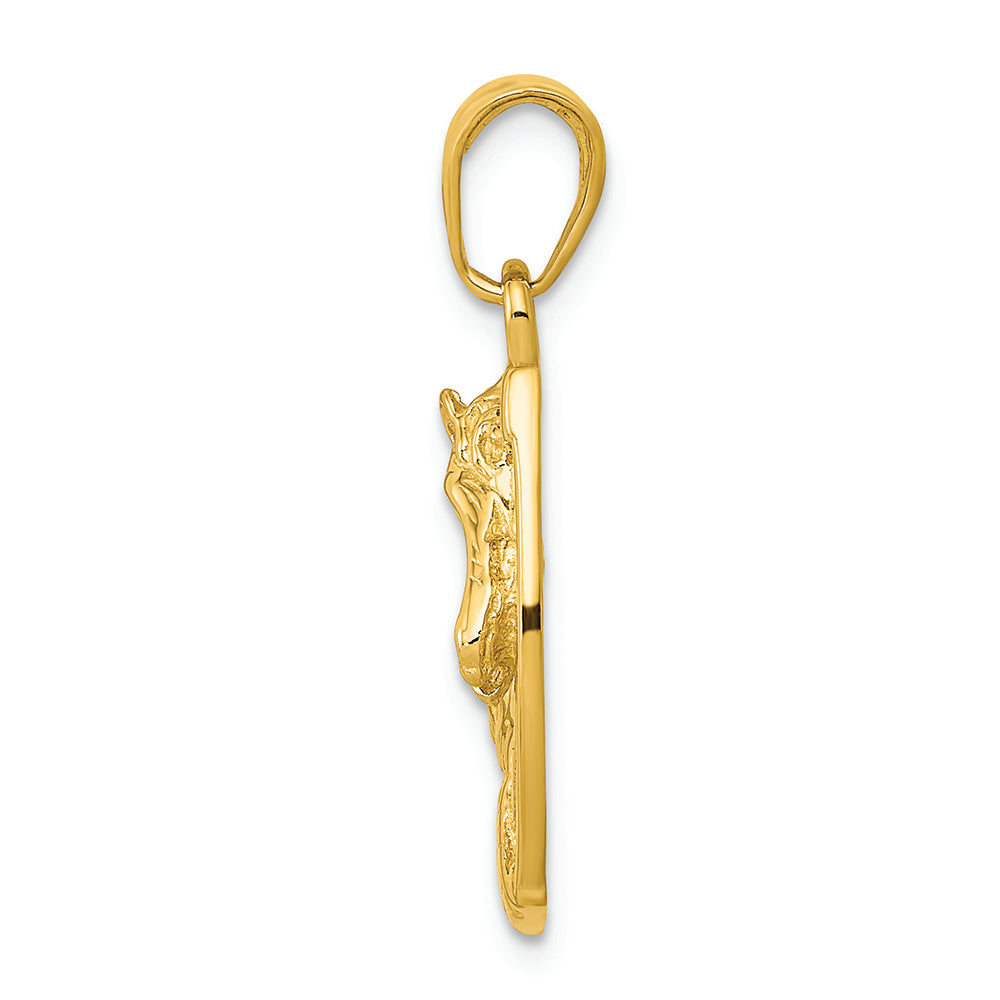 FJC Finejewelers 14k Yellow Gold Solid Polished Horse Head In Horseshoe Charm