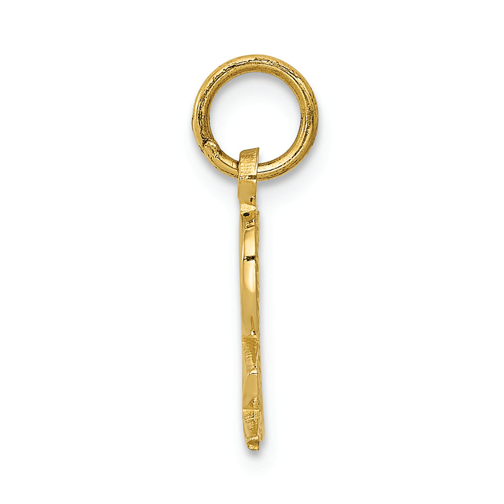 FJC Finejewelers 14k Yellow Gold Prescription Symbol Rx Charm