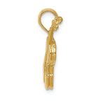 FJC Finejewelers 14k Yellow Gold Polished Solid 3d Violin Charm