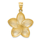 FJC Finejewelers 14k Yellow Gold Satin Bright Cut Open-backed Large Plumeria Charm
