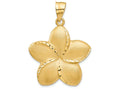 FJC Finejewelers 14k Yellow Gold Satin Bright Cut Open-backed Large Plumeria Charm