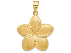 FJC Finejewelers 14k Yellow Gold Satin Bright Cut Open-backed Large Plumeria Charm