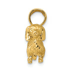 FJC Finejewelers 14k Yellow Gold Solid Polished 3d Wire Haired Dachshund Charm