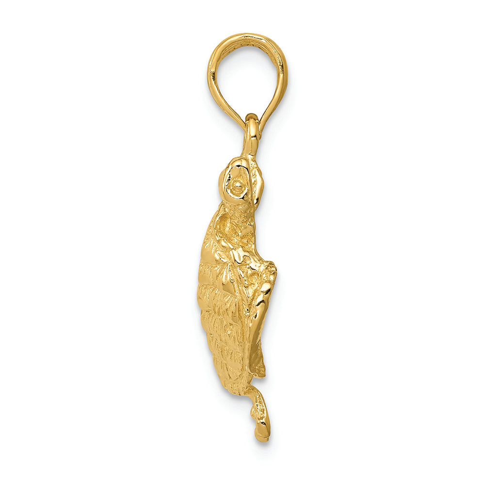FJC Finejewelers 14k Yellow Gold Solid Polished Open-backed Turtle Charm