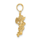 FJC Finejewelers 14k Yellow Gold Cupid Charm