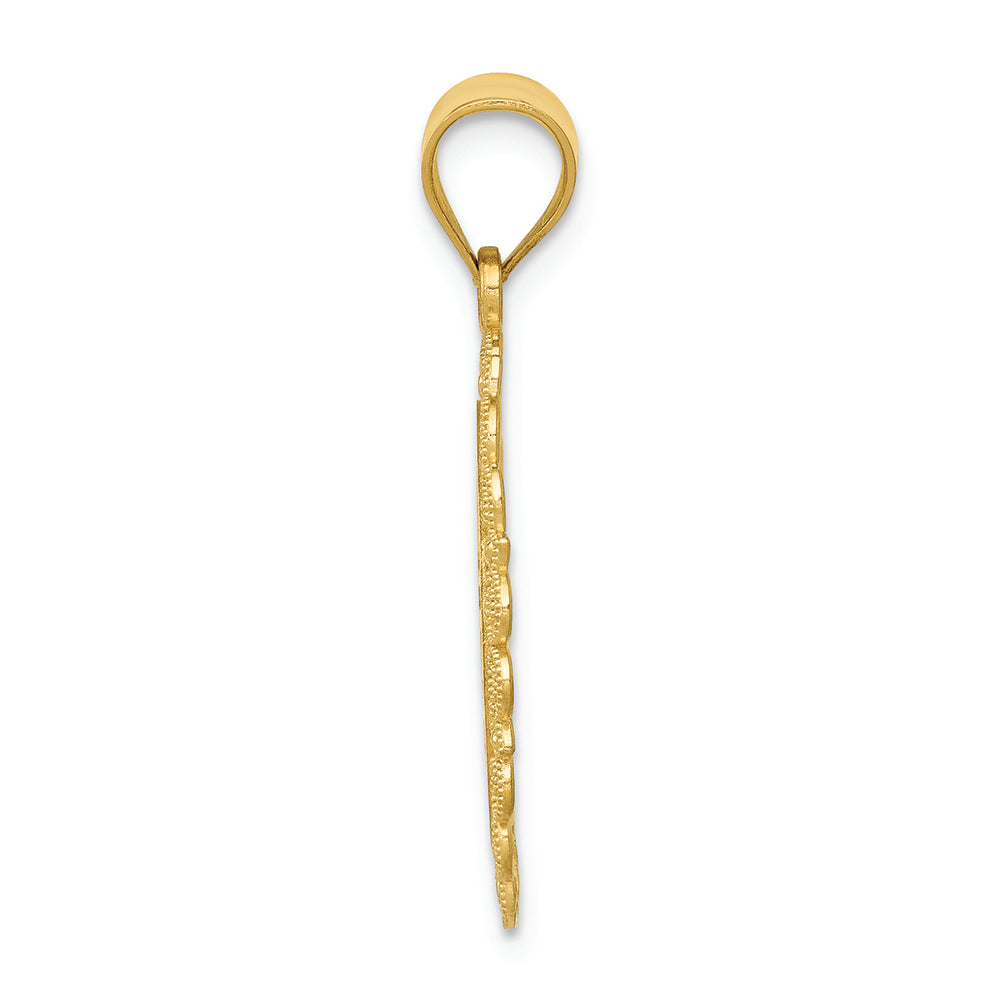 FJC Finejewelers 14k Yellow Gold Solid Satin Polished Aquarius Zodiac Oval Charm