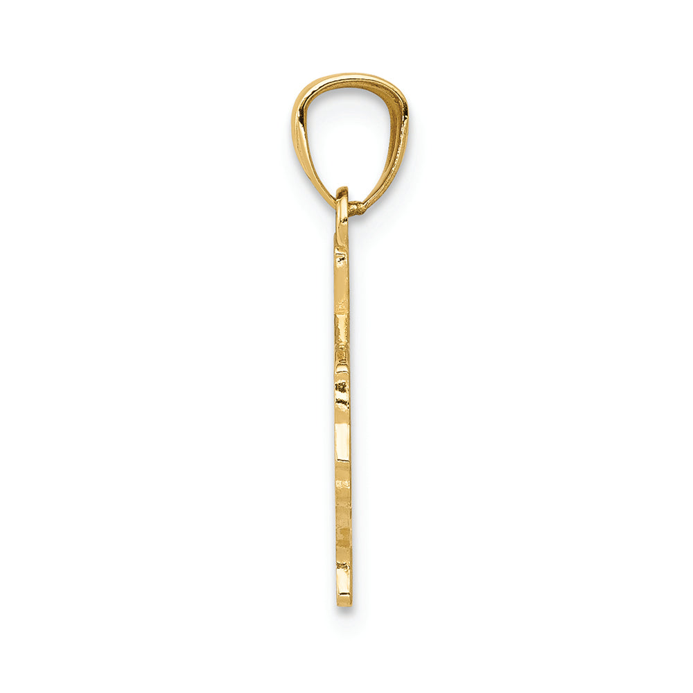 FJC Finejewelers 14k Yellow Gold State Of Texas Charm