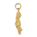 FJC Finejewelers 14k Yellow Gold 3D Aquarius Zodiac Charm