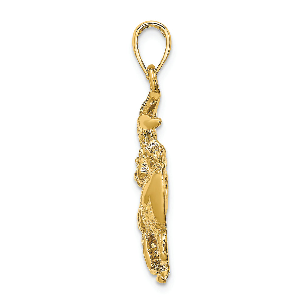 FJC Finejewelers 14k Yellow Gold Large Taurus Zodiac Charm