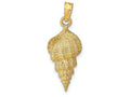FJC Finejewelers 14k Yellow Gold Conch Shell Charm