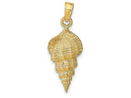 FJC Finejewelers 14k Yellow Gold Conch Shell Charm