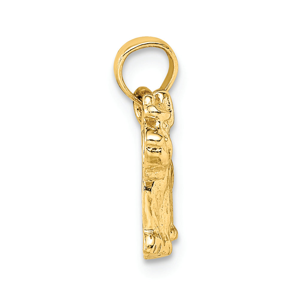 FJC Finejewelers 14k Yellow Gold Schnauzer Dog Charm