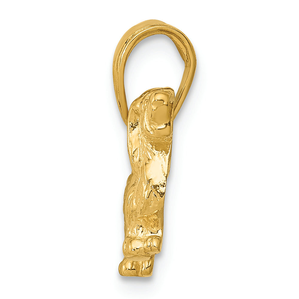 FJC Finejewelers 14k Yellow Gold Long-haired Dachshund Dog Charm