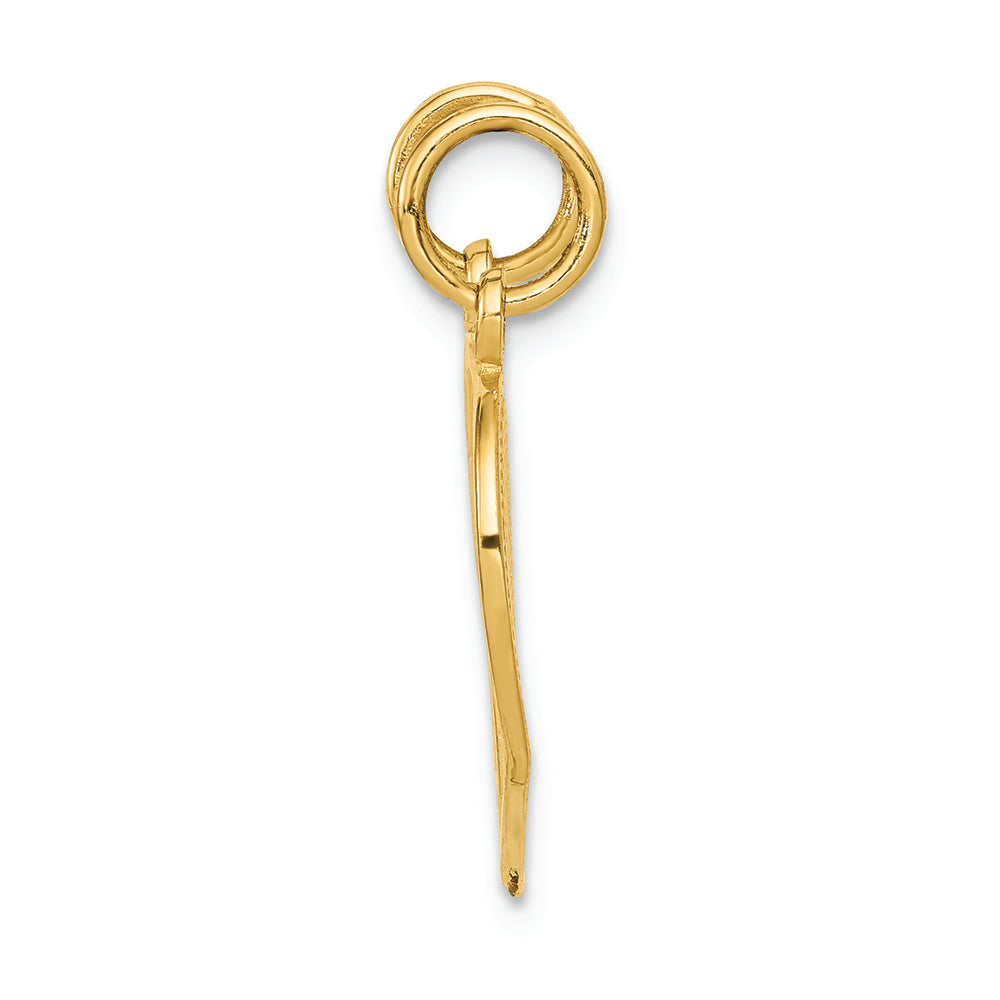 FJC Finejewelers 14k Yellow Gold Break-apart Mom Daughter Charm