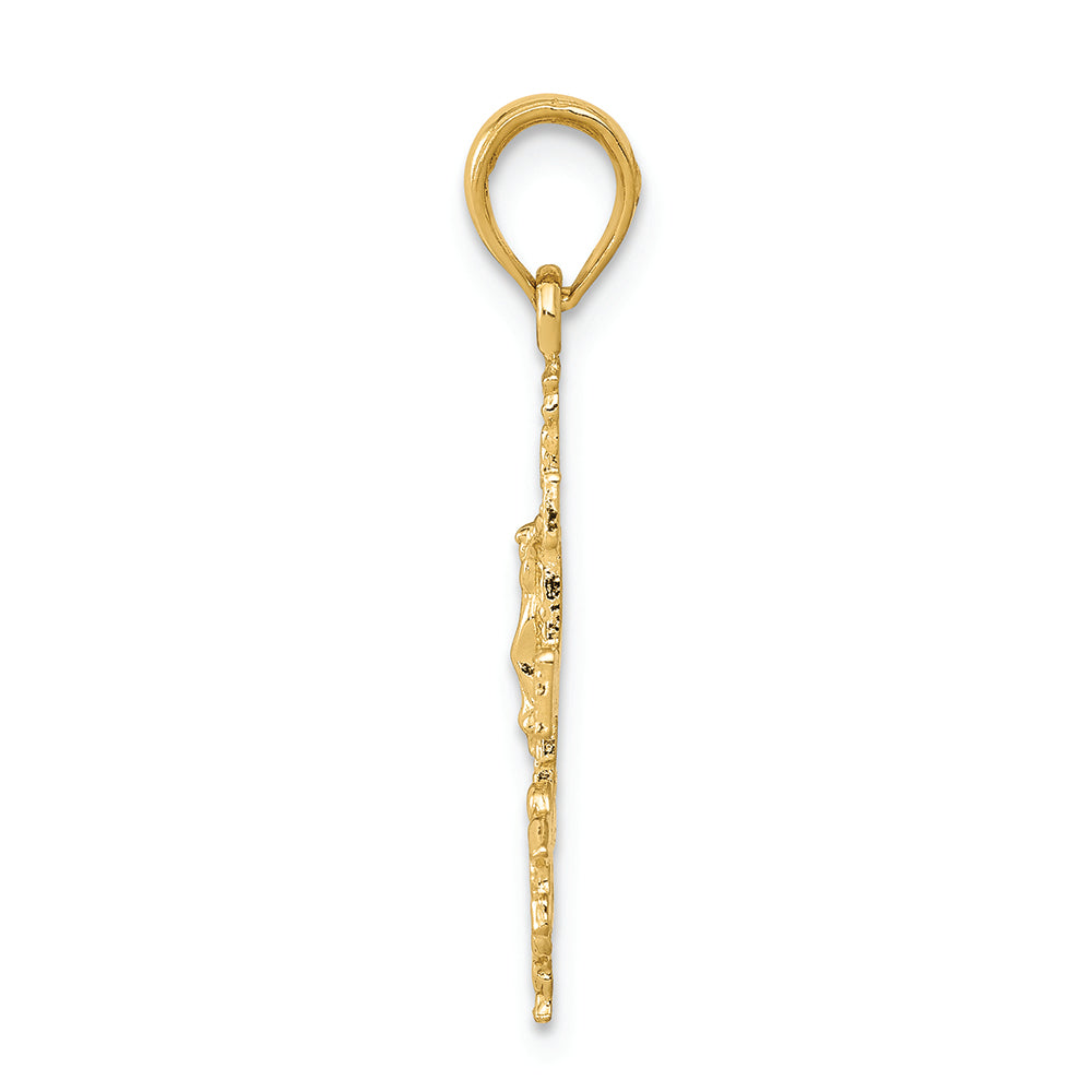 FJC Finejewelers 14k Yellow Gold Cara Vaca Crucifix Charm