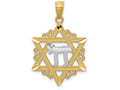 FJC Finejewelers 14k Yellow Gold with with Rhodium Star Of David Charm