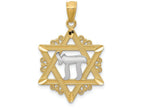 FJC Finejewelers 14k Yellow Gold with with Rhodium Star Of David Charm