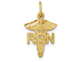 FJC Finejewelers 14k Yellow Gold Nurse Charm