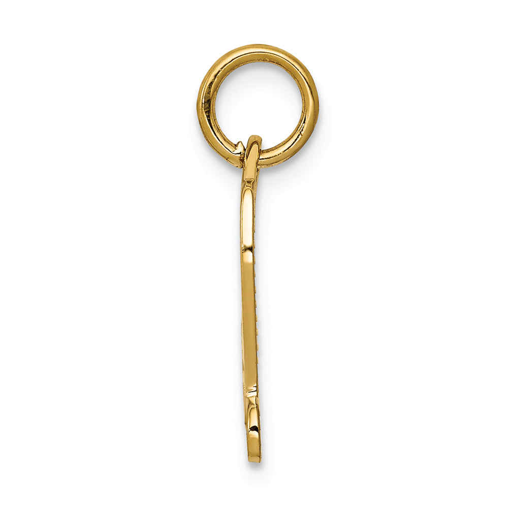FJC Finejewelers 14k Yellow Gold Diploma Charm