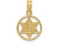 FJC Finejewelers 14k Yellow Gold Star Of David In Circle Frame Charm