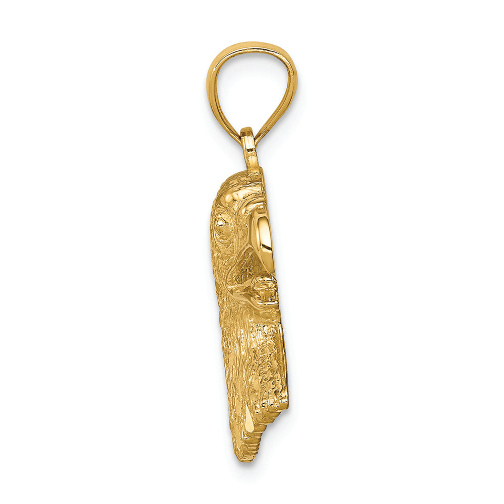 FJC Finejewelers 14k Yellow Gold Bright Cut Eagle Charm