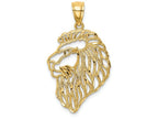 FJC Finejewelers 14k Yellow Gold Bright Cut Lion Profile Charm