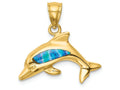 FJC Finejewelers 14k Yellow Gold Created Opal Dolphin Charm