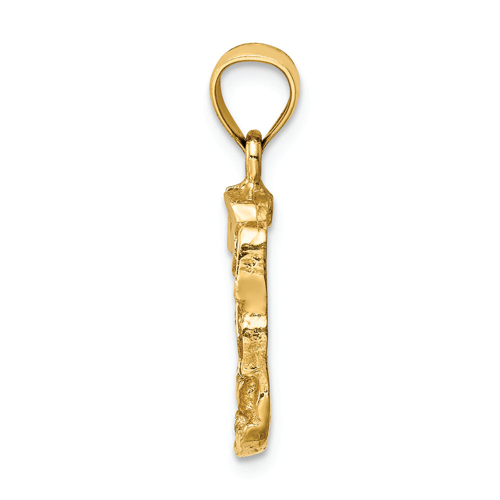 FJC Finejewelers 14k Yellow Gold Nugget Charm