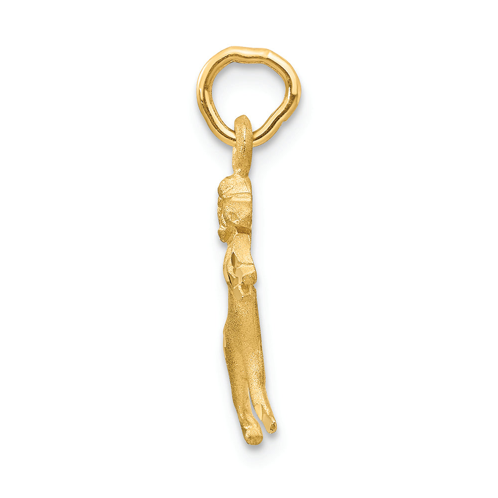 FJC Finejewelers 14k Yellow Gold Satin Aries Zodiac Charm
