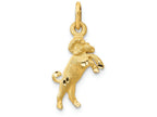 FJC Finejewelers 14k Yellow Gold Satin Aries Zodiac Charm