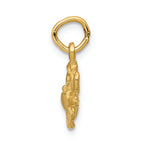 FJC Finejewelers 14k Yellow Gold Cancer Zodiac Charm