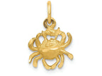 FJC Finejewelers 14k Yellow Gold Cancer Zodiac Charm