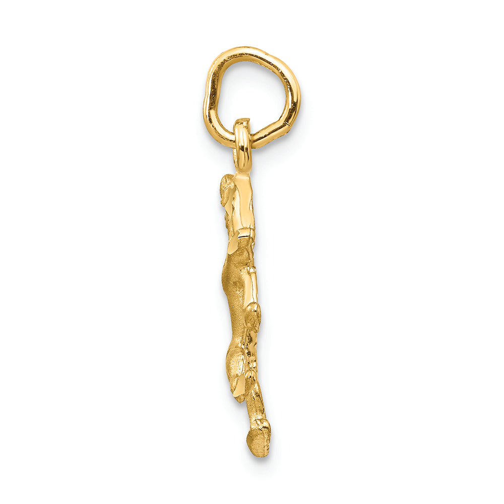 FJC Finejewelers 14k Yellow Gold Leo Zodiac Charm