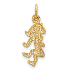 FJC Finejewelers 14k Yellow Gold Leo Zodiac Charm