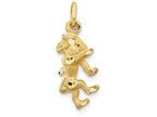 FJC Finejewelers 14k Yellow Gold Leo Zodiac Charm