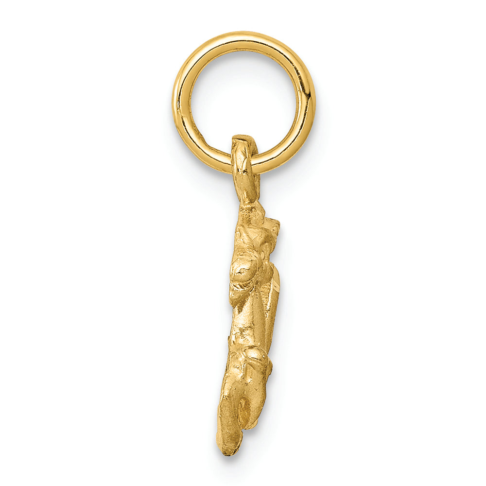 FJC Finejewelers 14k Yellow Gold Capricorn Zodiac Charm